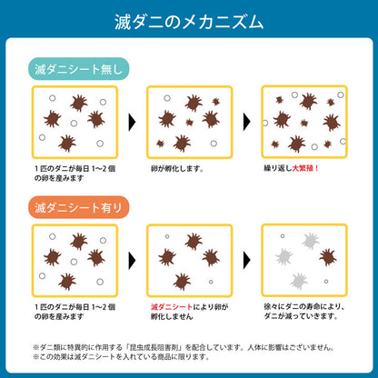 寝具清潔快適掛け布団ダニ増殖抑制日本製無地シンプルダブルロング約190×210cm