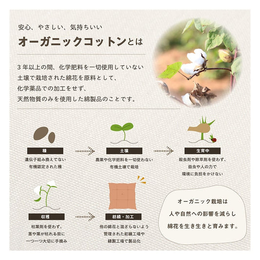 クッションシート椅子日本製オーガニックコットン綿100%無地洗える約40×40cm
