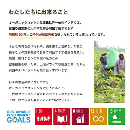 クッションシート椅子日本製オーガニックコットン綿100%無地洗える約40×40cm