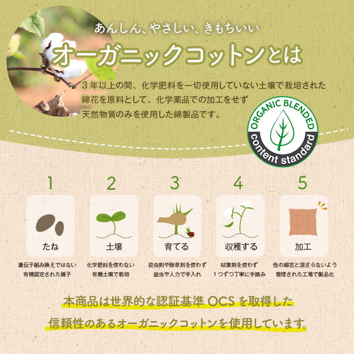 クッションシート椅子日本製オーガニックコットン綿100%ボーダー洗える約43×43cm