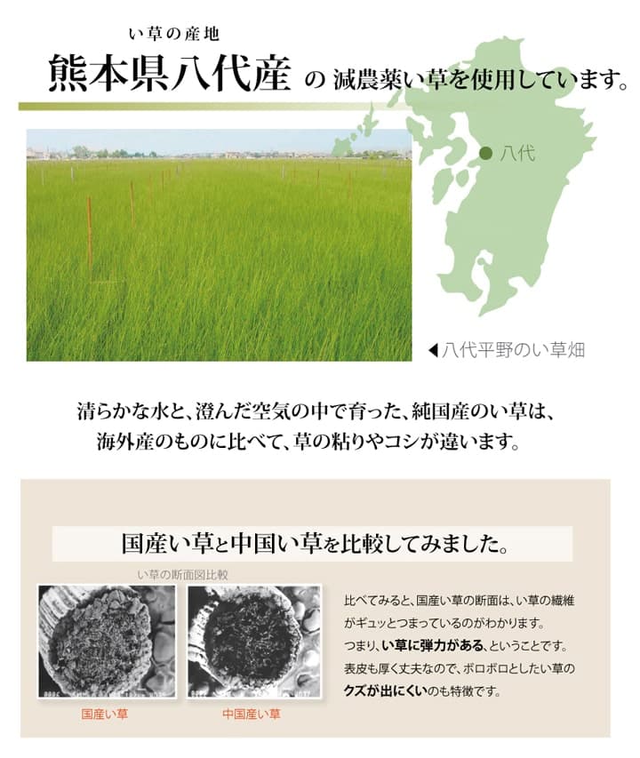 純国産減農薬栽培い草上敷きカーペット糸引織西陣江戸間8畳約352×352cm熊本県八代産イ草使用
