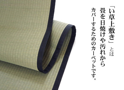 純国産い草上敷きカーペット麻綿織清正本間1畳約95×191cm熊本県八代産イ草使用