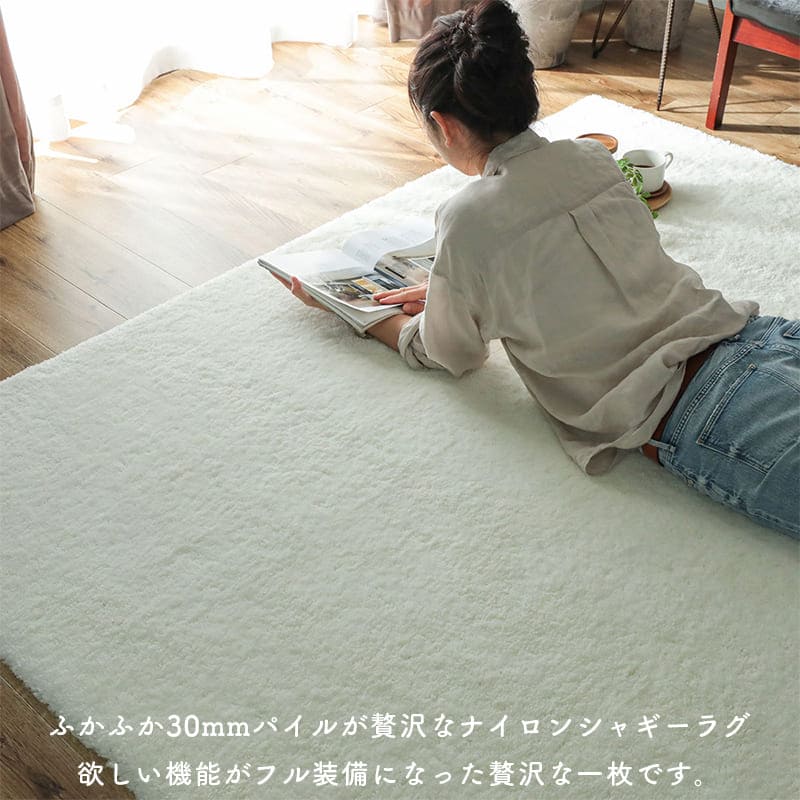 ラグ冬用冬カーペット2畳洗えるシャギー日本製おしゃれ絨毯オールシーズンかわいい洗濯抗菌防臭北欧190x190防ダニ消臭滑り止めセンターラグリビングラグ可愛い北欧風リビング格安冬用ラグじゅうたん赤ちゃんサイズデザイン