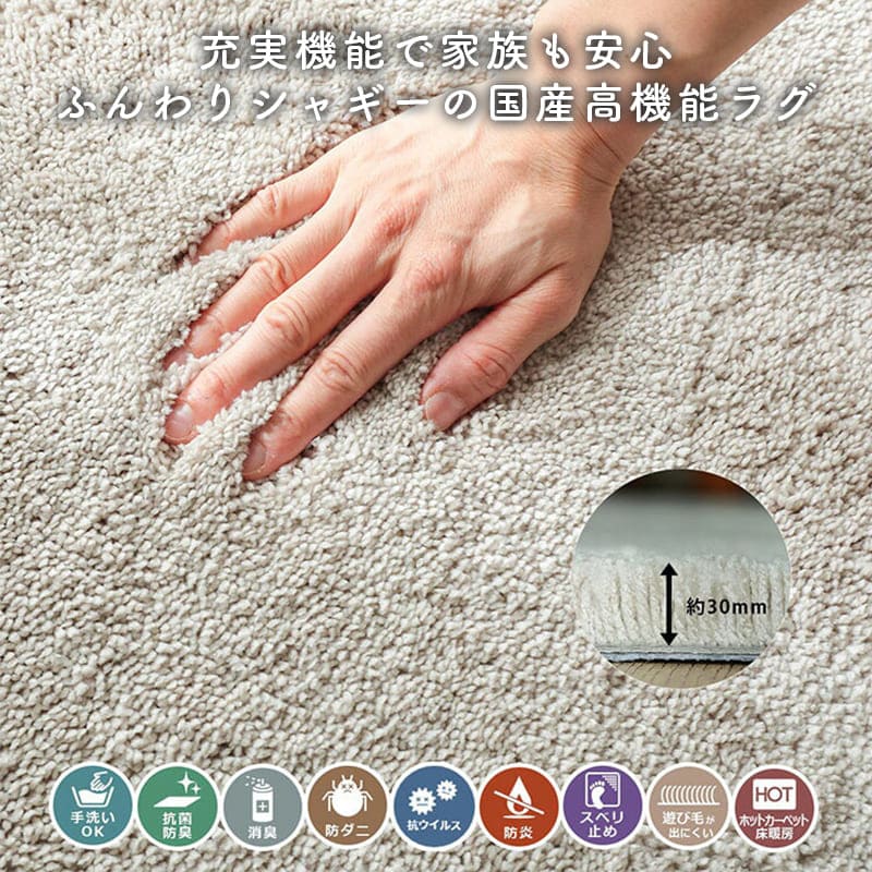 ラグ冬用冬カーペット2畳円形洗えるシャギー日本製丸おしゃれ絨毯オールシーズンかわいい洗濯抗菌防臭北欧180防ダニ消臭滑り止めセンターラグリビングラグ可愛い北欧風リビング格安冬用ラグじゅうたん赤ちゃんサイズデザイン