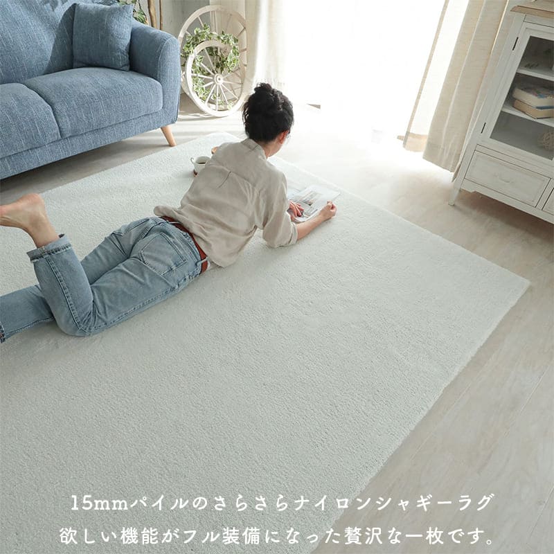ラグ冬用冬カーペット2畳洗えるシャギー日本製おしゃれ絨毯オールシーズンかわいい洗濯抗菌防臭北欧190x190防ダニ消臭滑り止めセンターラグリビングラグ可愛い北欧風リビング格安冬用ラグじゅうたん赤ちゃんサイズデザイン