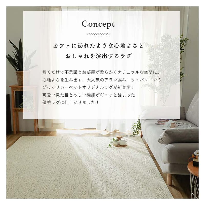 ラグ冬用冬カーペット2畳洗える洗濯可丸洗い日本製おしゃれ絨毯オールシーズン洗濯抗菌防臭北欧190×190防ダニ消臭ペット洗濯機国産冬用ラグ冬用カーペットラグマット暖かい冬用ラグ赤ちゃん掃除しやすいじゅうたん激安安い洗えるラグ