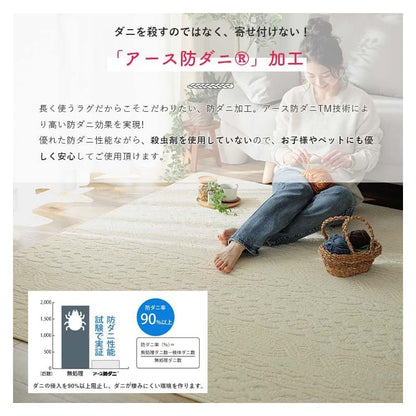 ラグ冬用冬カーペット2畳洗える日本製おしゃれ絨毯オールシーズンかわいい洗濯抗菌防臭北欧190x190防ダニ消臭ペット洗濯機国産センターラグリビングラグ可愛い北欧風リビング格安冬用ラグじゅうたん赤ちゃんサイズデザイン