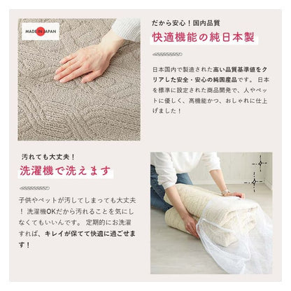 ラグ冬用冬カーペット2畳洗える日本製おしゃれ絨毯オールシーズンかわいい洗濯抗菌防臭北欧190x190防ダニ消臭ペット洗濯機国産センターラグリビングラグ可愛い北欧風リビング格安冬用ラグじゅうたん赤ちゃんサイズデザイン