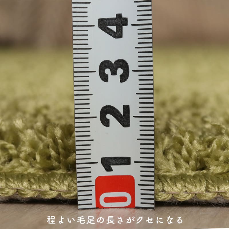 ラグ冬用冬カーペット2畳シャギー洗える日本製おしゃれ洗濯自宅絨毯オールシーズンかわいい抗菌防臭防ダニ洗濯機無地国産190x190センターラグリビングラグ可愛い北欧風リビング格安冬用ラグじゅうたん赤ちゃんサイズデザイン