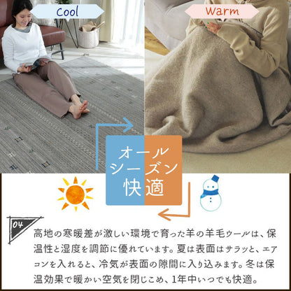 玄関マット屋内風水ギャッベ天然素材ウール北欧ギャベ小さめ厚手高級インド室内長方形50×80柄ベージュグレーブラウンおしゃれ2023絨毯5080南北東西大判高級感シンプル夏冬天然