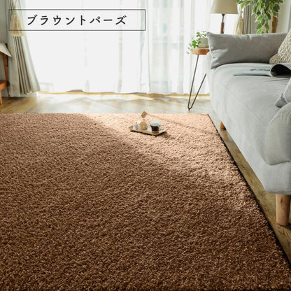 ラグ2畳カーペット冬シャギー日本製冬用防ダニ洗える洗濯機ホットカーペット防炎無地床暖房抗菌防臭子供洗濯ペット正方形おしゃれオールシーズン軽量毛足短いシンプル通年年中一人暮らし