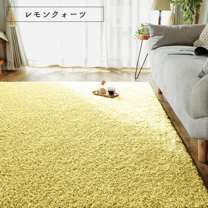 ラグ2畳カーペット冬シャギー日本製冬用防ダニ洗える洗濯機ホットカーペット防炎無地床暖房抗菌防臭子供洗濯ペット正方形おしゃれオールシーズン軽量毛足短いシンプル通年年中一人暮らし