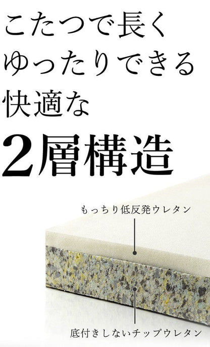 フリースタイルローソファ2人掛け