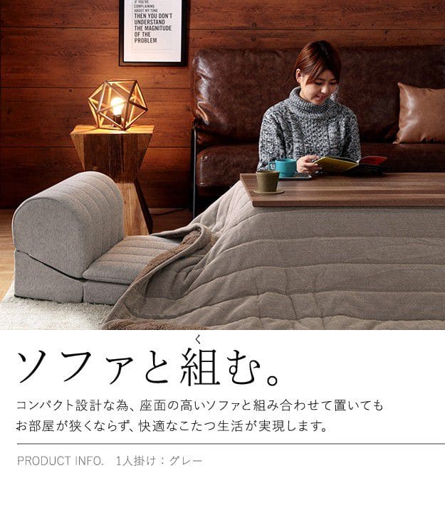 フリースタイルローソファ3点セット