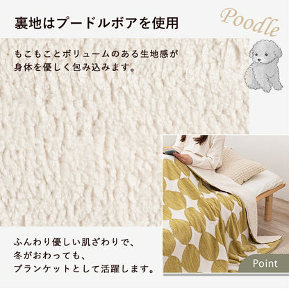 こたつセット