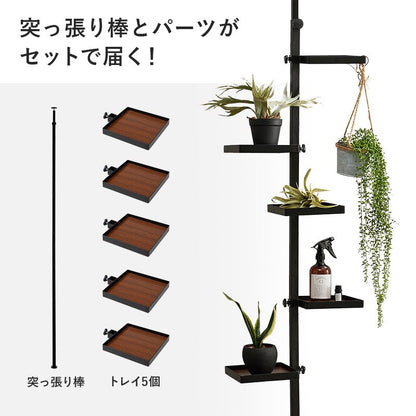 突っ張りラック突っ張り棚