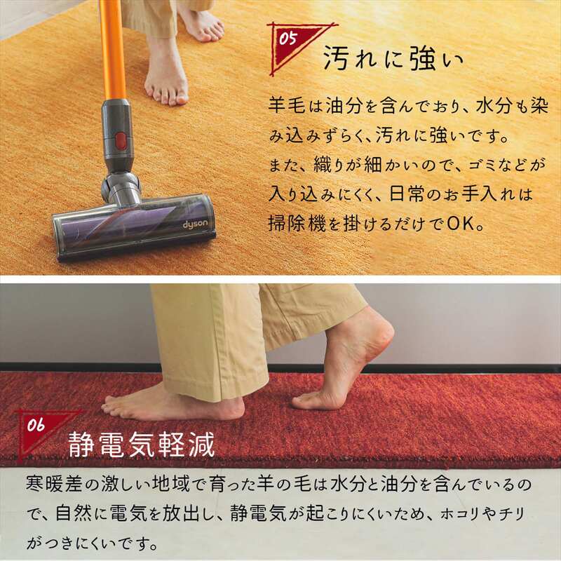 玄関マット室内40×60おしゃれギャッペ北欧天然素材青夏用大きめモダン風水高級薄型4060屋内マットギャベ赤緑ウール