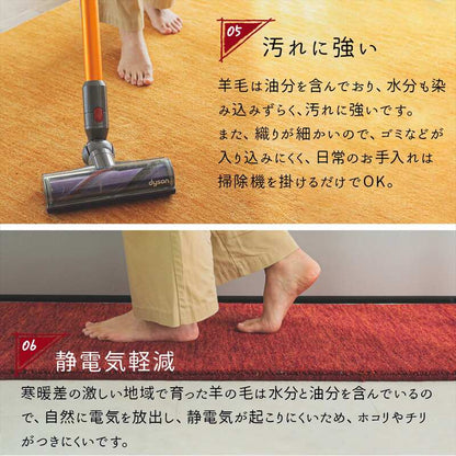 玄関マット室内60×90おしゃれギャッペ北欧天然素材青夏用大きめモダン風水高級薄型9060屋内マットギャベ赤緑ウール