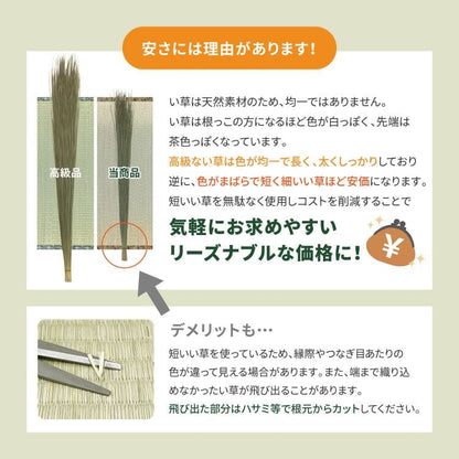 い草上敷き6畳カーペット夏本間リバーシブルペット対応い草カーペット抗菌防臭長方形ござ夏用ラグ上敷き畳おしゃれ畳和室絨毯花ございぐさ畳の上オールシーズン夏用ラグ夏用カーペット井草畳の上花茣蓙じゅうたん激安安いラグマット