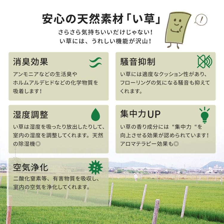 い草上敷き6畳カーペット夏本間リバーシブルペット対応い草カーペット抗菌防臭長方形ござ夏用ラグ上敷き畳おしゃれ花ございぐさ畳の上
