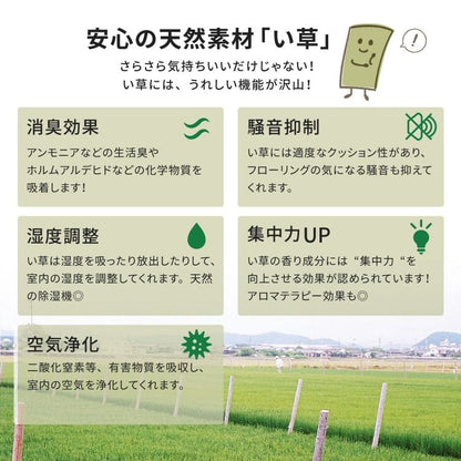 い草上敷き6畳カーペット夏本間リバーシブルペット対応い草カーペット抗菌防臭長方形ござ夏用ラグ上敷き畳おしゃれ花ございぐさ畳の上