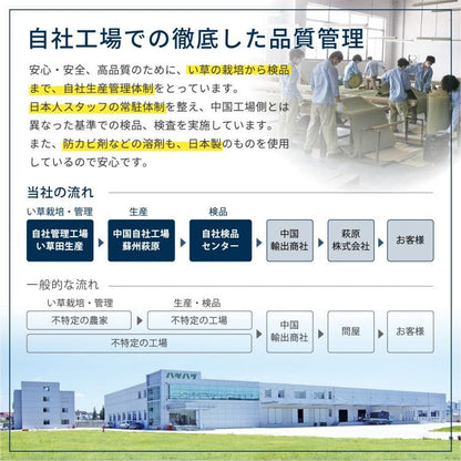 い草上敷き6畳カーペット夏本間リバーシブルペット対応い草カーペット抗菌防臭長方形ござ夏用ラグ上敷き畳おしゃれ花ございぐさ畳の上