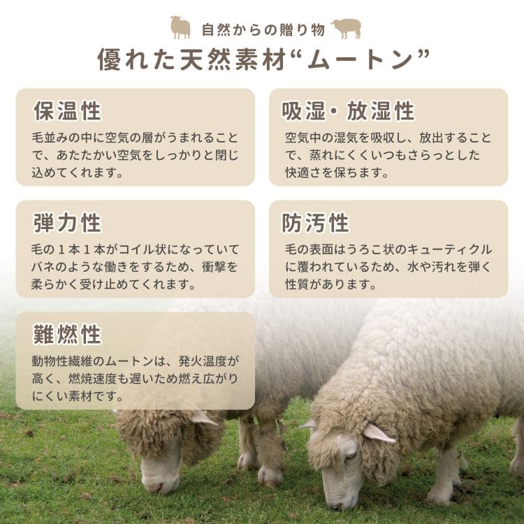 ムートンラグ本物天然ラグカーペットムートンファーウレタン厚手1匹羊毛おしゃれ小さめ高級ふわふわ床暖房天然素材かわいい毛足長い