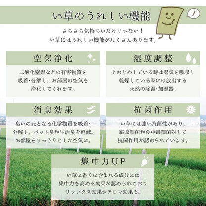 い草ラグカーペットいぐさ3畳国産裏貼りい草カーペットラグ夏用い草日本製和畳おしゃれ絨毯抗菌防臭ござ夏長方形床暖房高級天然素材ラグマットカバー拭けるペットオールシーズン涼しいじゅうたん激安安いござ井草茣蓙犬猫花ござ