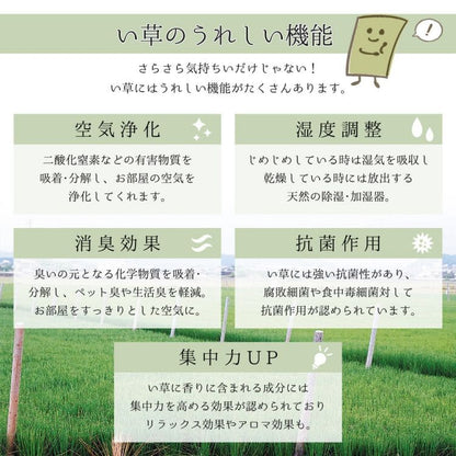 い草ラグラグいぐさ2畳国産高級上敷き花茣蓙い草カーペット夏用い草カーペットモダン和畳おしゃれ絨毯抗菌防臭ござ夏正方形日本製ラグマットカバー拭けるペットオールシーズン涼しいじゅうたん激安安いござ井草茣蓙犬猫花ござ