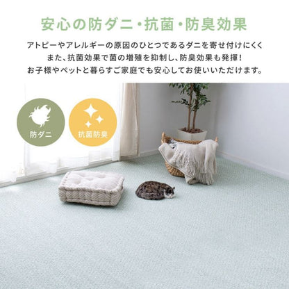 ラグカーペット冬江戸間10畳撥水防音防ダニペット防炎日本製厚手ホットカーペット床暖房冬用長方形国産抗菌防臭子供部屋おしゃれオールシーズンリビング一人暮らし年中夏冬兼用格安お洒落