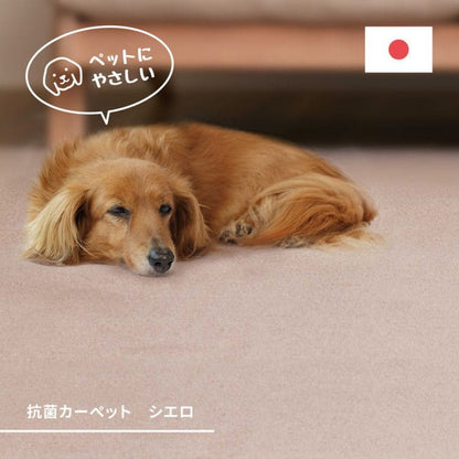 ラグカーペット冬江戸間8畳正方形丸巻きペット日本製ホットカーペット床暖房冬用毛足短いパイル国産抗菌防臭軽量薄手子供部屋おしゃれオールシーズンリビング一人暮らし年中夏冬兼用格安お洒落