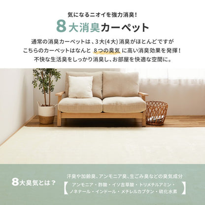 カーペット