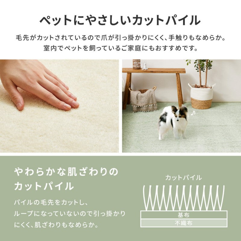 カーペット