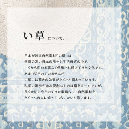 い草ラグ