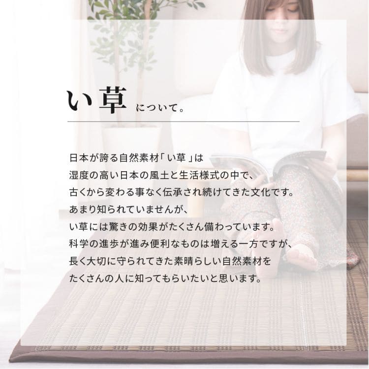 い草ラグ