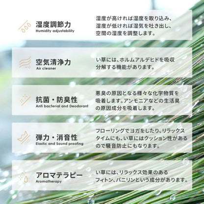 い草ラグ