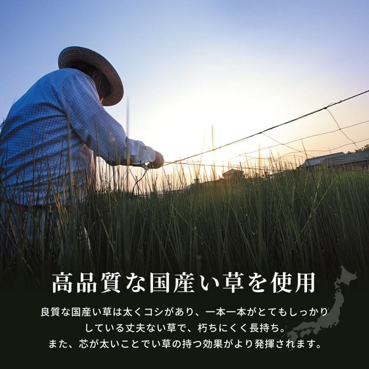 い草ラグカーペットいぐさ3畳国産裏貼りい草カーペットラグ夏用い草日本製和畳おしゃれ抗菌防臭ござ夏長方形床暖房高級滑り止め