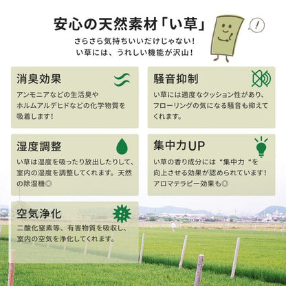 い草ラグカーペットいぐさ3畳国産裏貼りい草カーペットラグ夏用い草日本製和畳おしゃれ絨毯抗菌防臭ござ夏長方形床暖房高級滑り止めラグマットカバー拭けるペットオールシーズン涼しいじゅうたん激安安いござ井草茣蓙犬猫花ござ