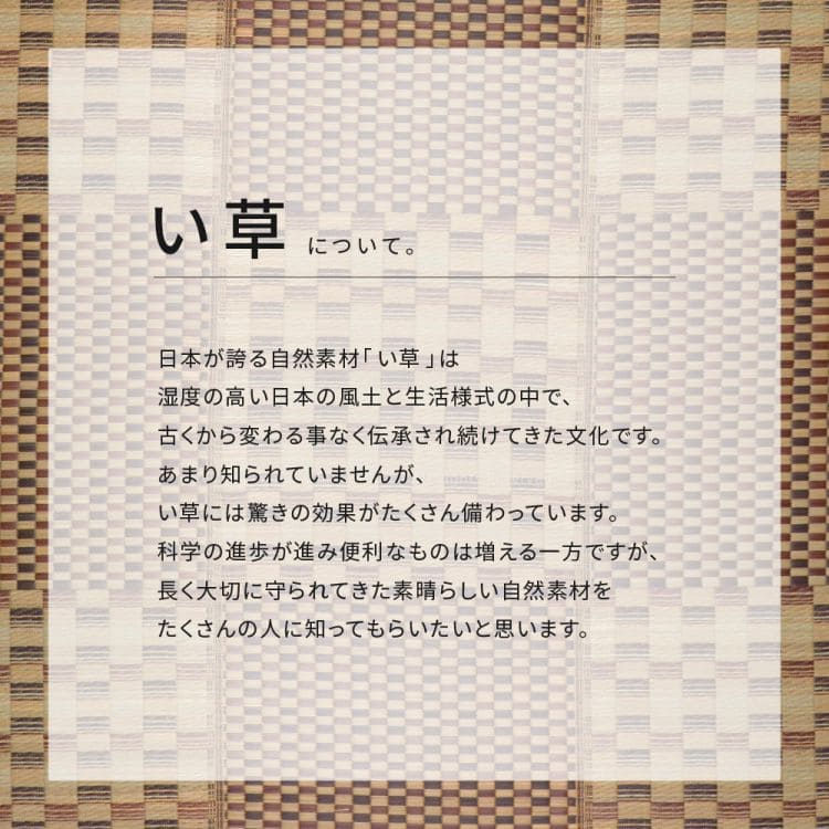 い草ラグ
