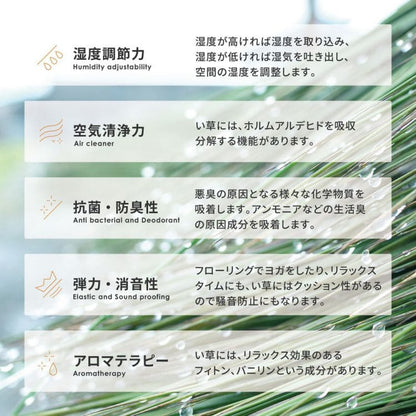 い草ラグ