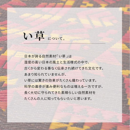 い草ラグ