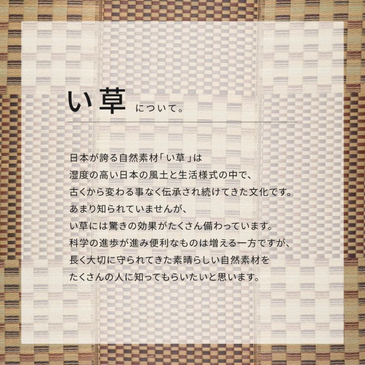 い草ラグ