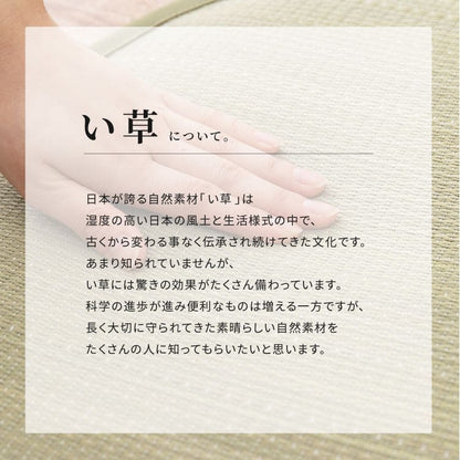 カーペットラグい草2畳裏貼りギャッベ風い草カーペットい草ラグ夏用ペット和柄いぐさ畳おしゃれ絨毯抗菌防臭ござ夏正方形天然素材床暖房ラグマットカバー拭けるペットオールシーズン涼しいじゅうたん激安安いゴザ犬猫井草茣蓙