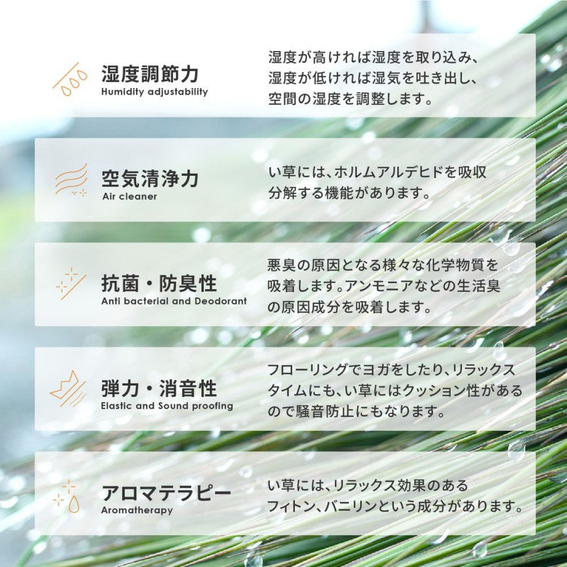 カーペットい草