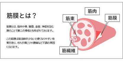 ヨガポールクッションヨガ初心者ソフト柔らかい肩こり腰痛ポール短い背中ストレッチ猫背筋膜ストレッチボルスターカバーショート筋膜リリーススリムウレタン姿勢骨盤ローラー筋膜ローラー