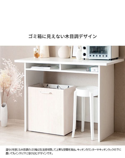 ゴミ箱ダストボックス分別20リットルレジ袋キッチンスリム20l幅50木製縦型キャスター台所机の下おしゃれ木目家具部屋薄型2分別3分別リビング低いワゴン移動式デスク小さめ横型引っ掛け四角