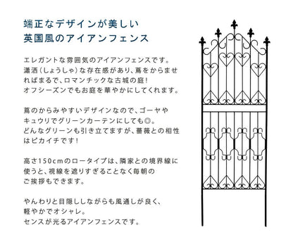 アイアン