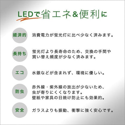 ライト