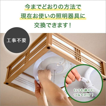 照明