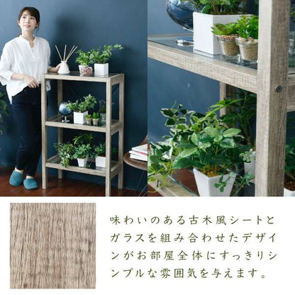 ボタニカル花台鉢置き台ラック3段フラワースタンド古材ガラスシャビ―観葉植物インテリア幅60奥行30高さ100オープンシェルフ木製飾り棚
